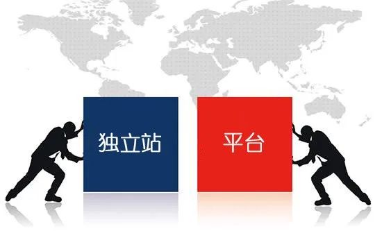 新卖家破局，平台与独立站的优劣博弈及战略抉择