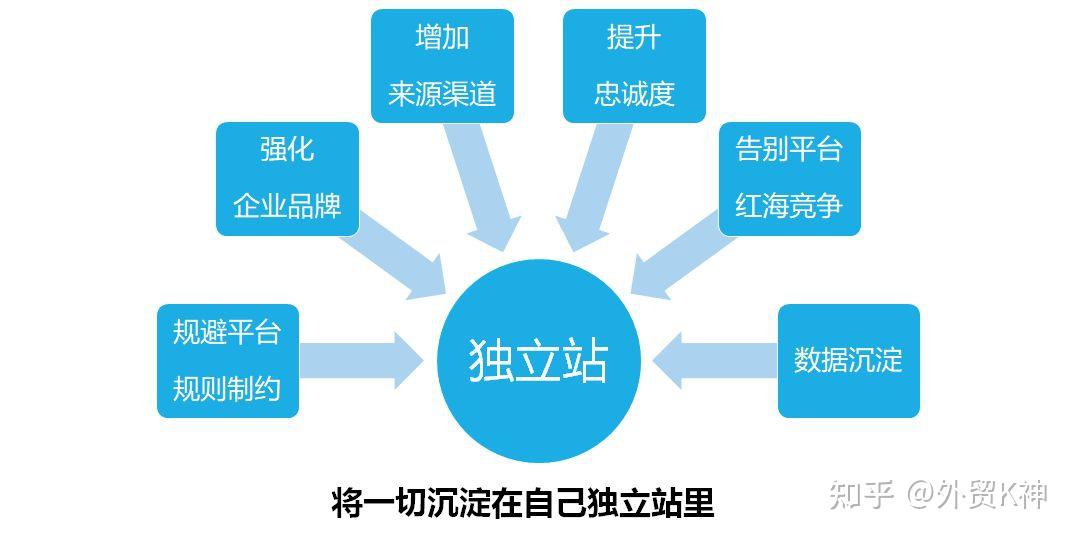 双轨破局，独立站与平台店铺协同增长策略