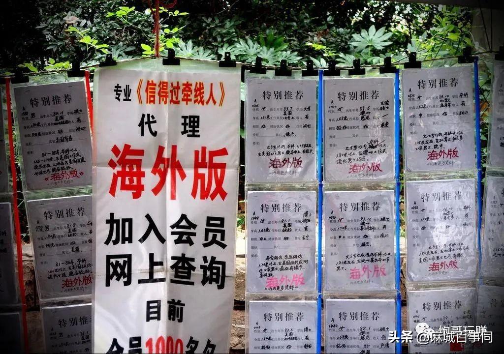 五维训练法破解AI客服机械回复困局